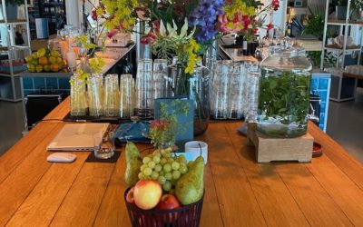 ‘All things AI’ and the essential need for brain itch